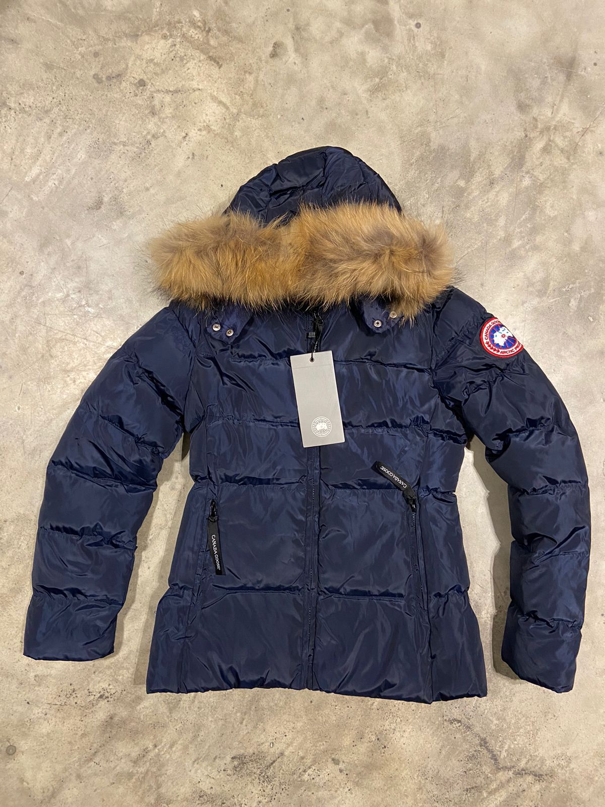 Canada goose blue