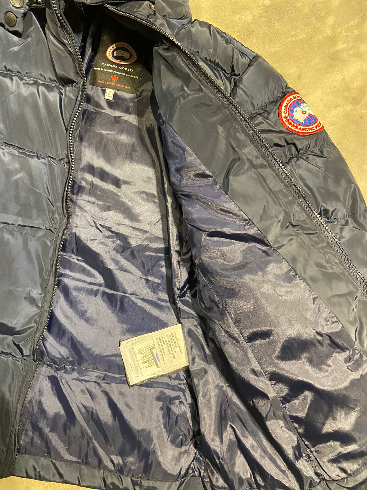 Canada goose blue